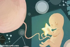 捐卵供卵咨询